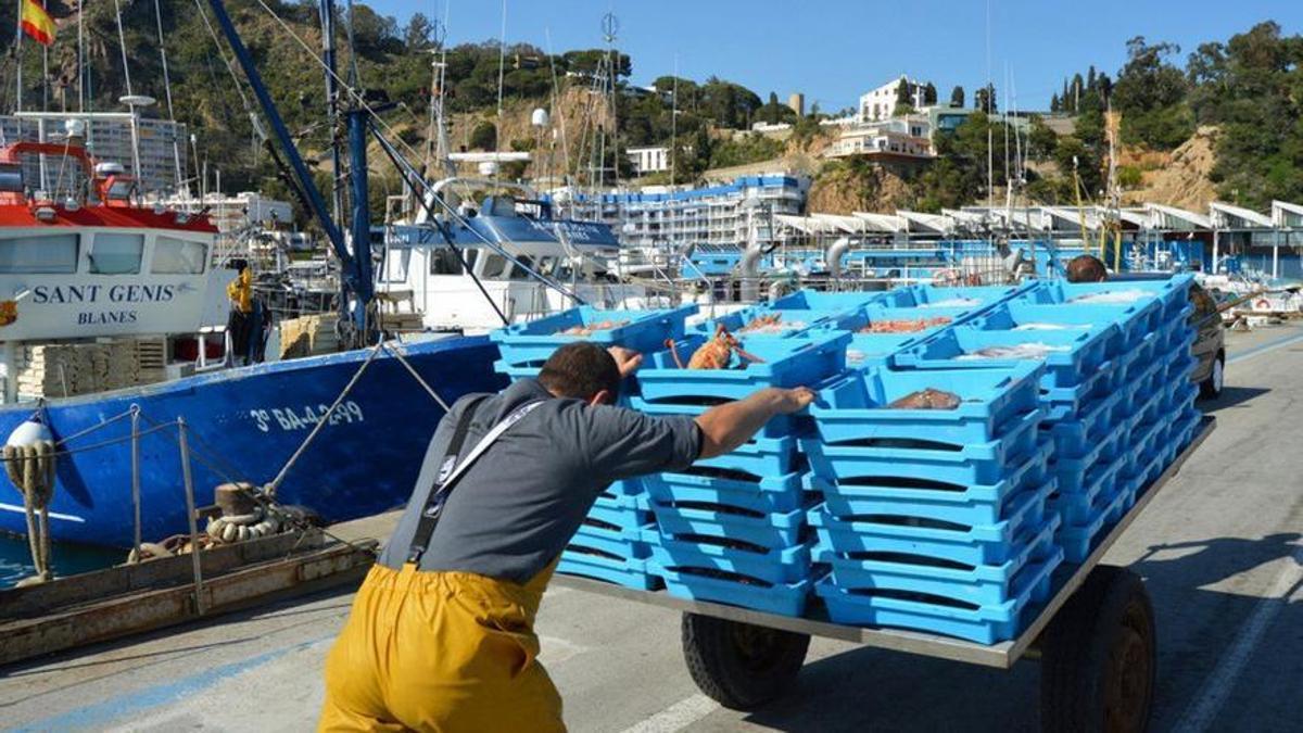 El plan incorpora medidas específicas para la flota pesquera