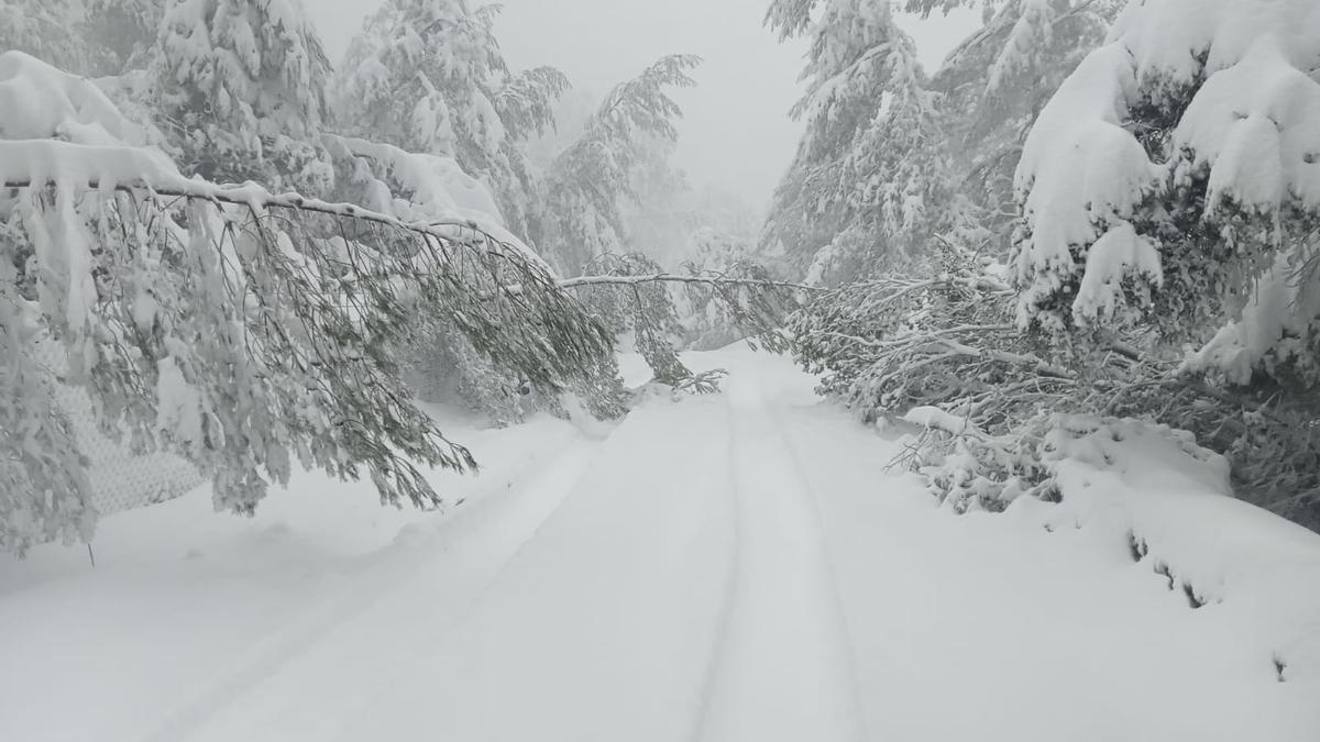 Nieve en Mallorca