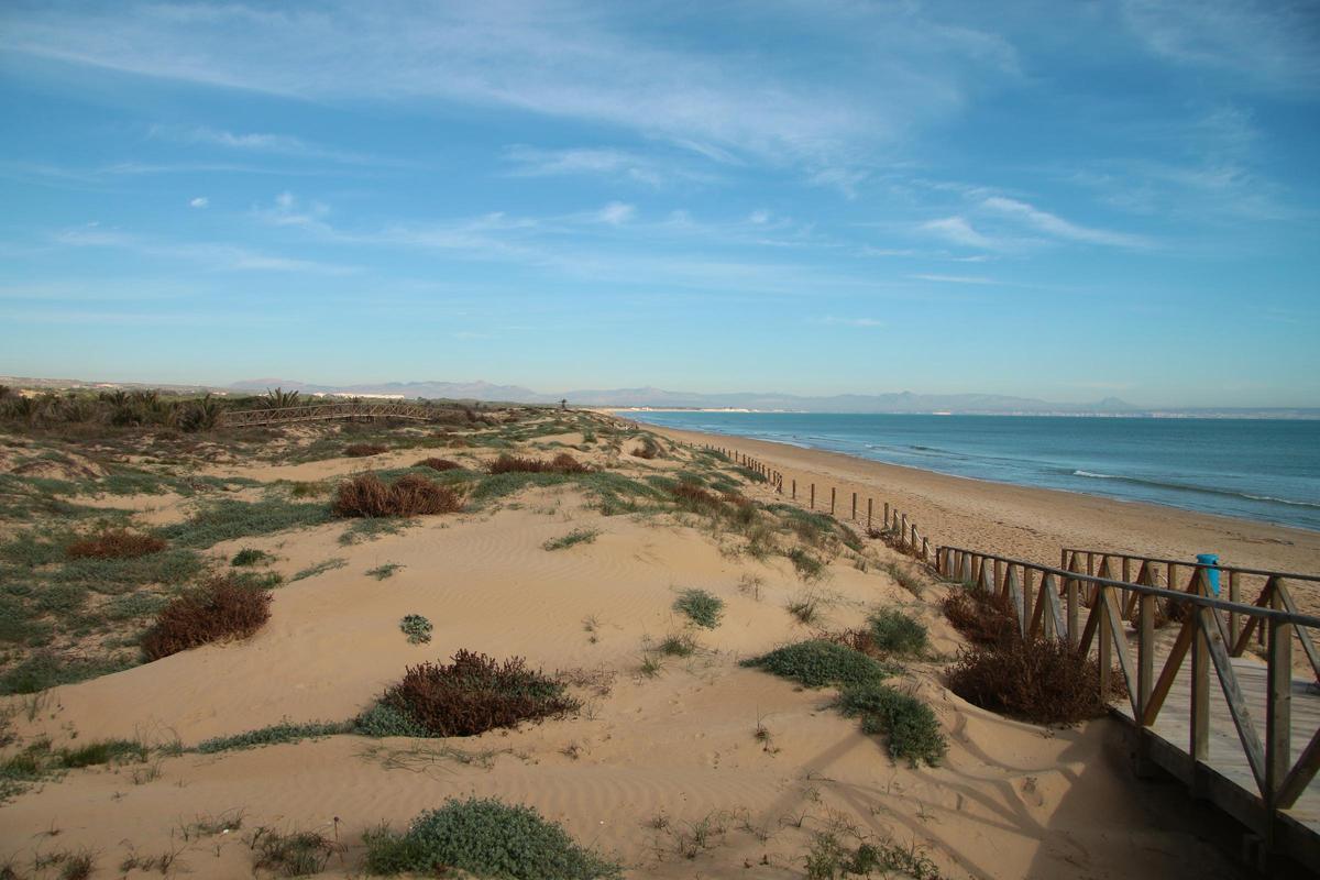 Arena dorada en un entorno único