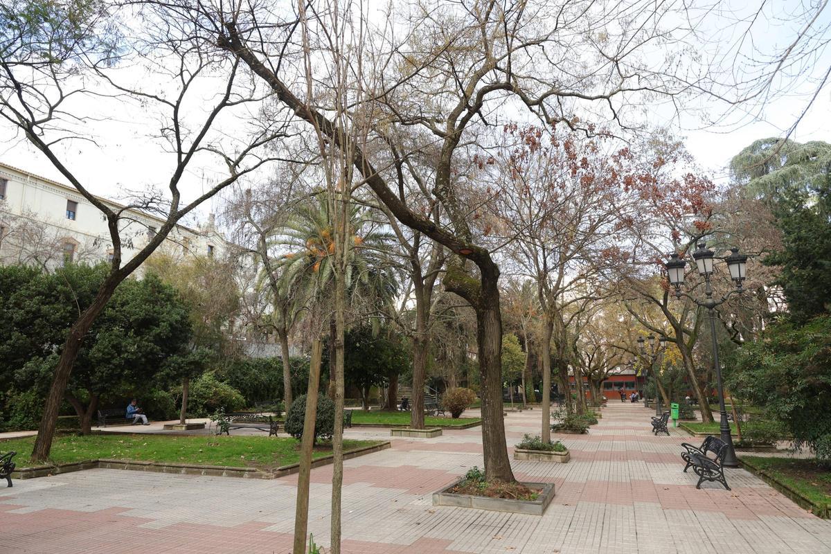 FOTOGALERÍA | La esperada reforma del Paseo de Cánovas de Cáceres, más cerca