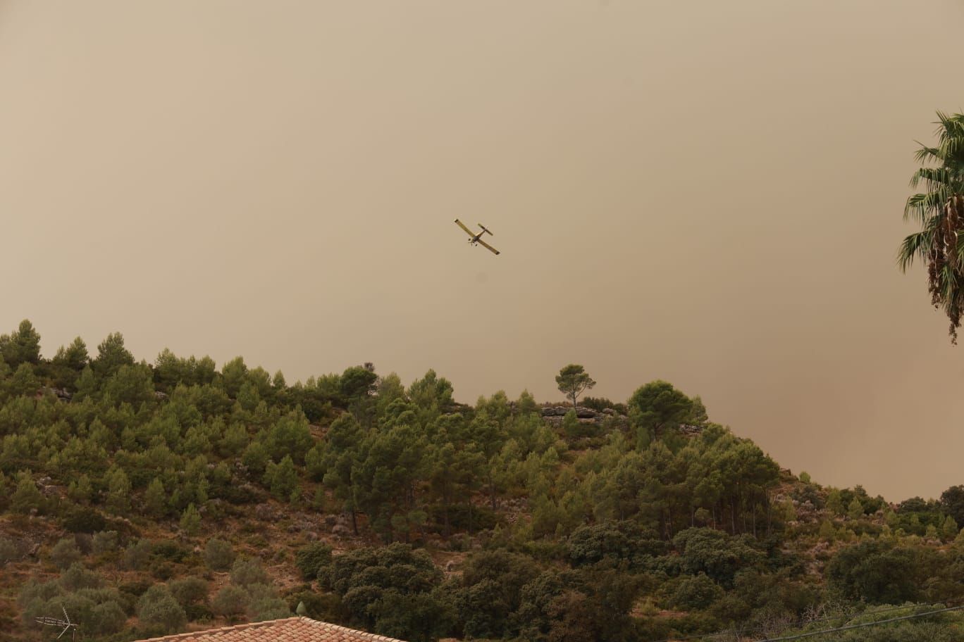 El incendio de Bejís, en imágenes