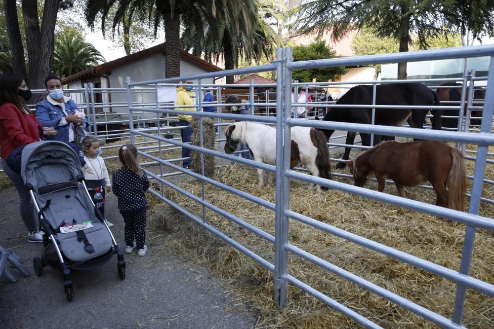 Agropec cierra su cita en Gijón