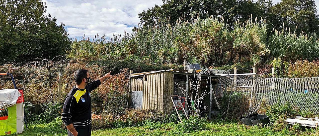 Uno de los vecinos muestra la maleza más alta que sus casas en la finca colindante. |   // SANTOS ÁLVAREZ