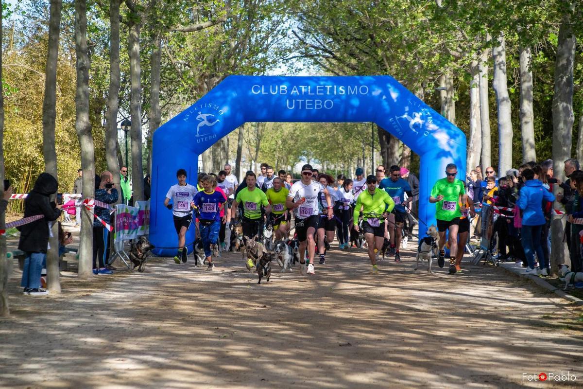 Salida de la carrera de Canicross Utebo