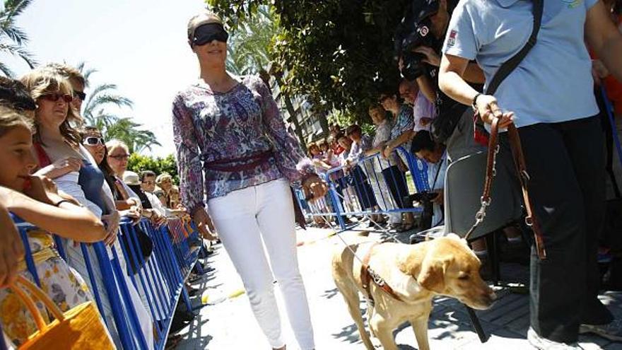 La alcaldesa, Sonia Castedo, recorriendo el circuito habilitado en Óscar Esplá con un perro guía.