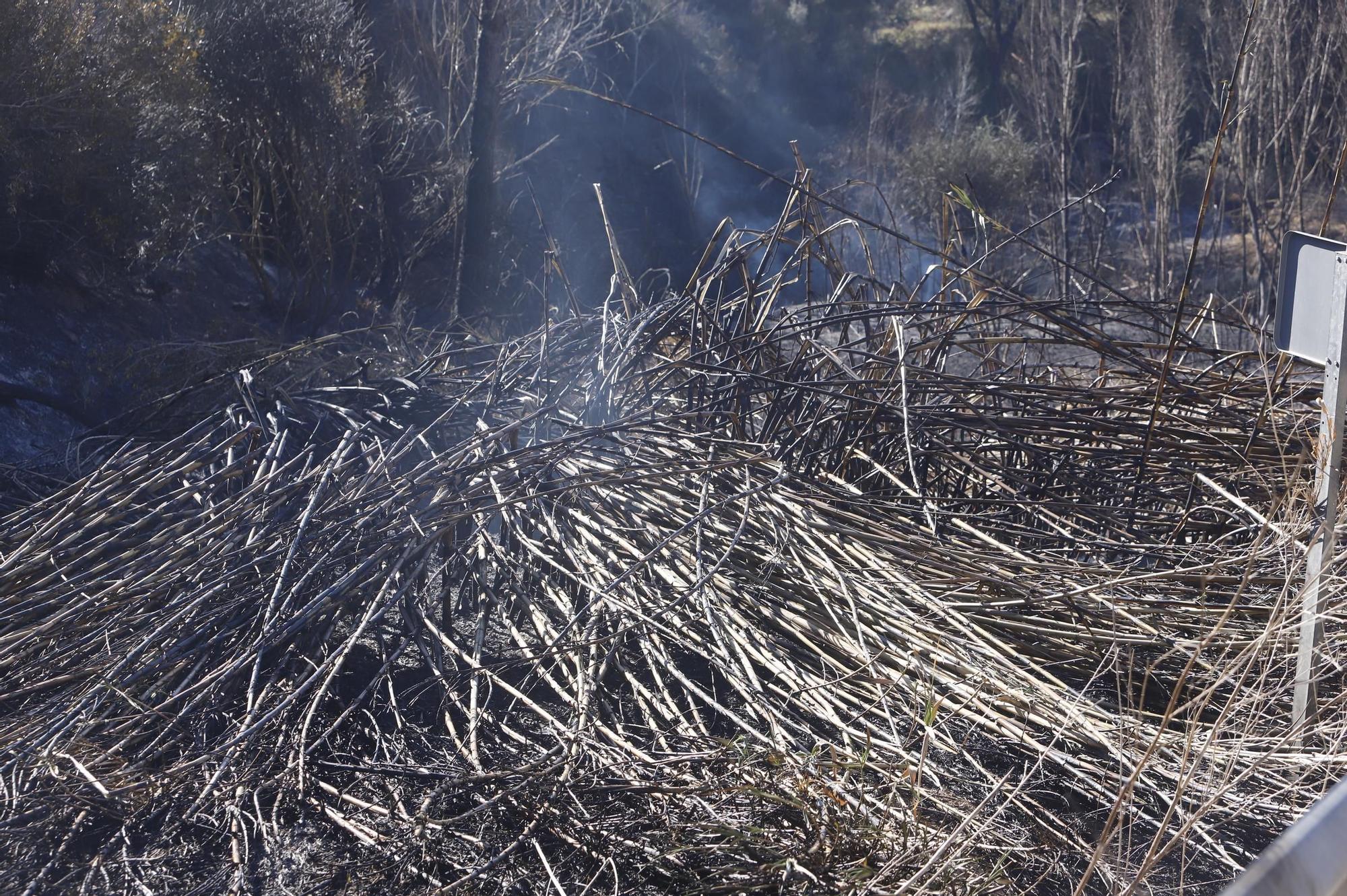 El barranc de la Xara de la Pobla del Duc, arrasado por el fuego