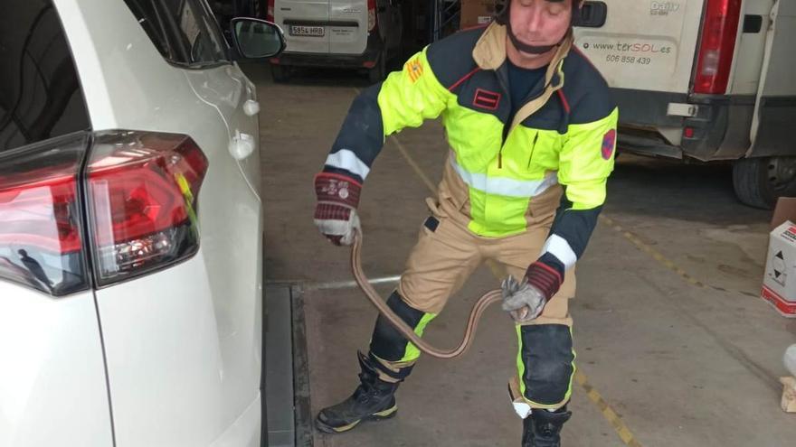 Los bomberos de la DPT capturan y liberan una serpiente que estaba bajo un vehículo dentro de una nave en Teruel