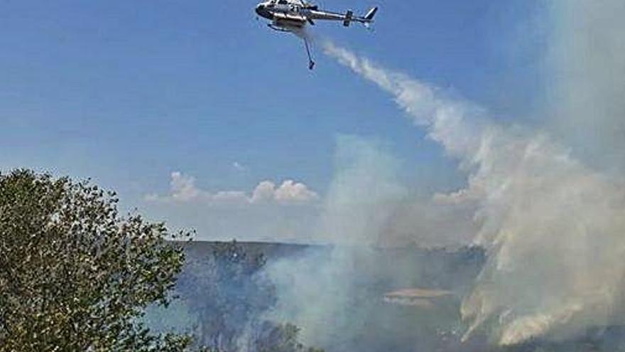 Una de les zones afectades per l&#039;incendi de Llers, ahir.