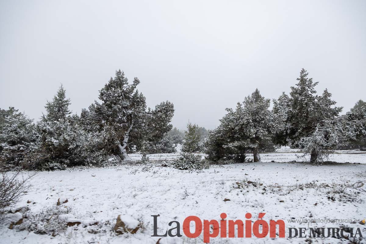 Nieve en el Noroeste