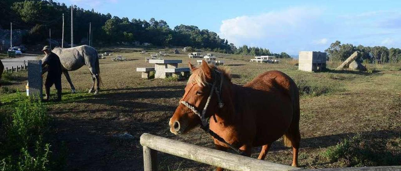 El camping se ubicaría al fondo del merendero, donde antes había un vertedero. // Gonzalo Núñez