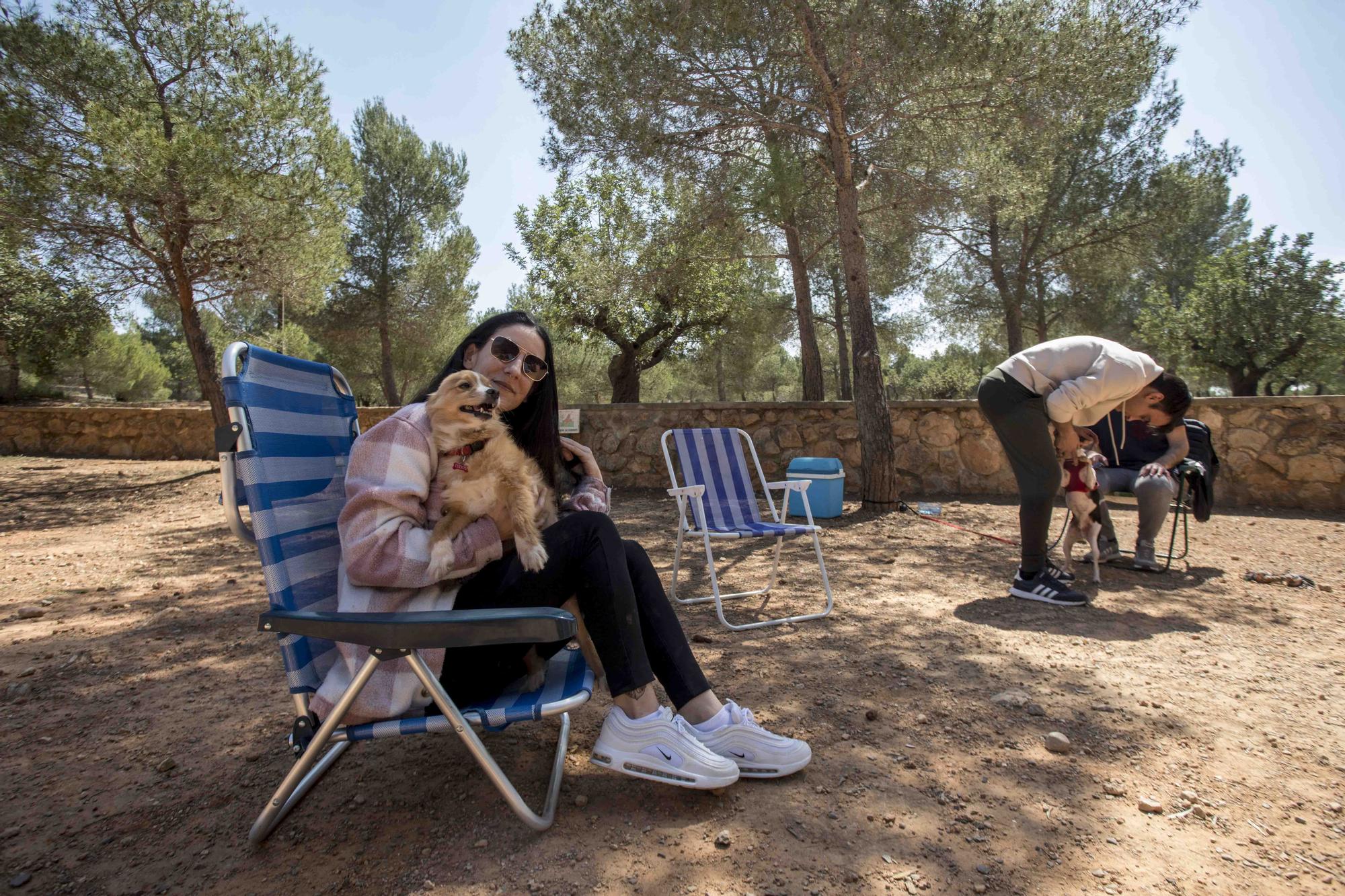 El Parc d San Vicent de Lliria vuelve a llenarse de familias dos años depués