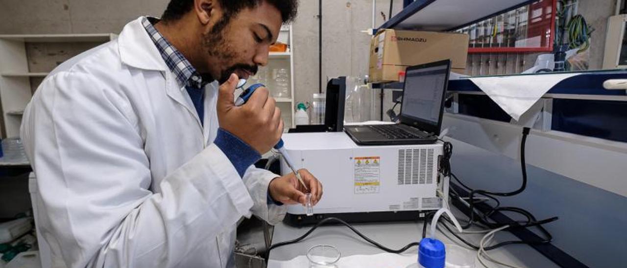 El investigador Daniel R. Bondyale en su laboratorio de Ecoaqua. Abajo muestras de las medusas en estudio. | | ÁNGEL MEDINA/EOMAR