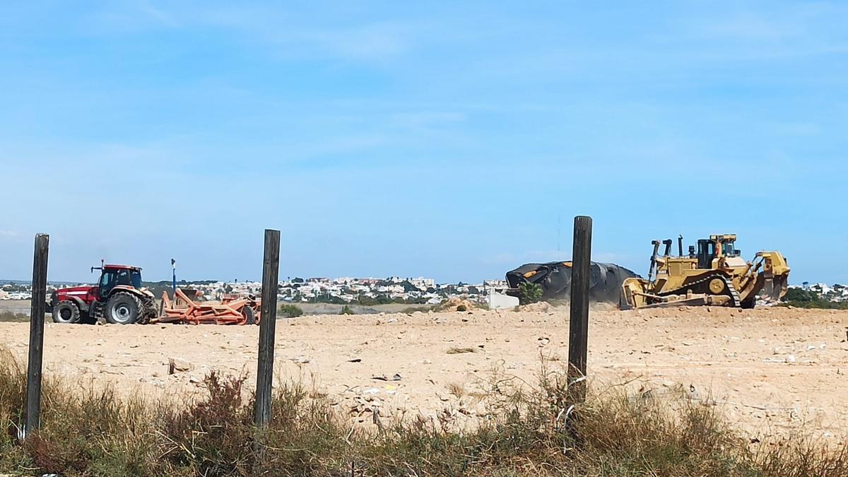 Obras de roturación y elevación del terreno ejecutadas sobre un terreno privado en Torreta III. Al fondo la ruina del balneario municipal de lodos