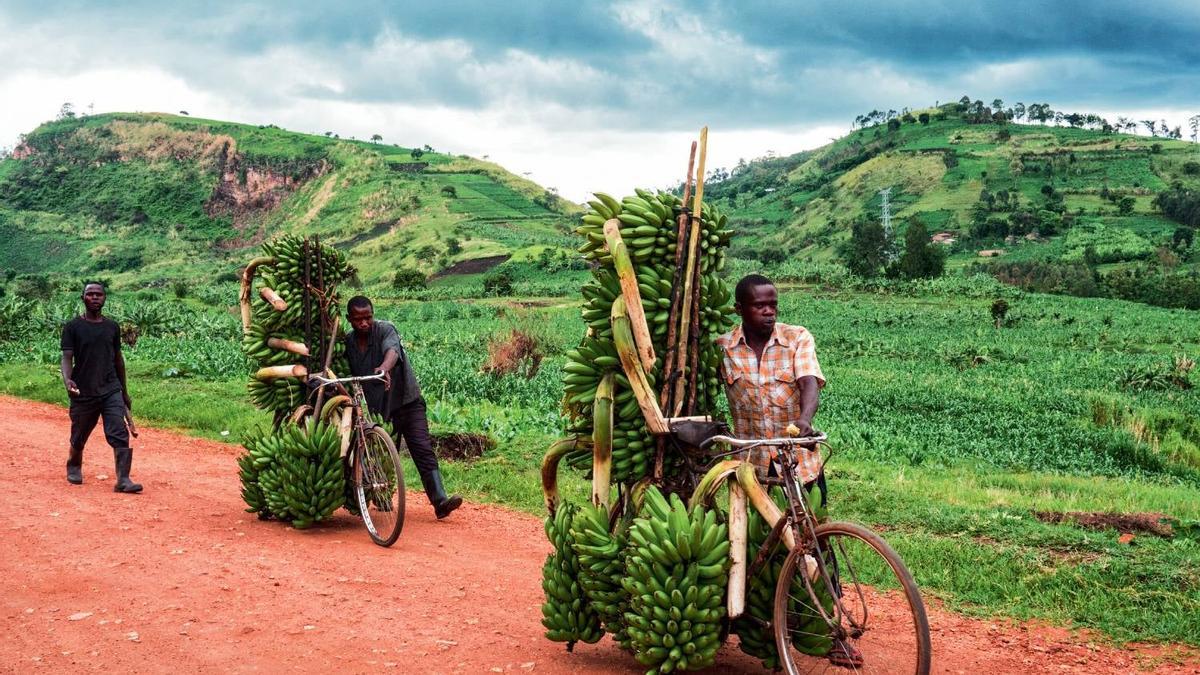 Bienvenidos a Uganda, la perla de África