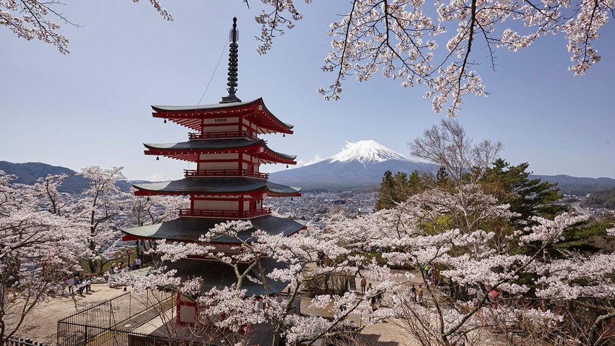 Cerezos en flor en Japón