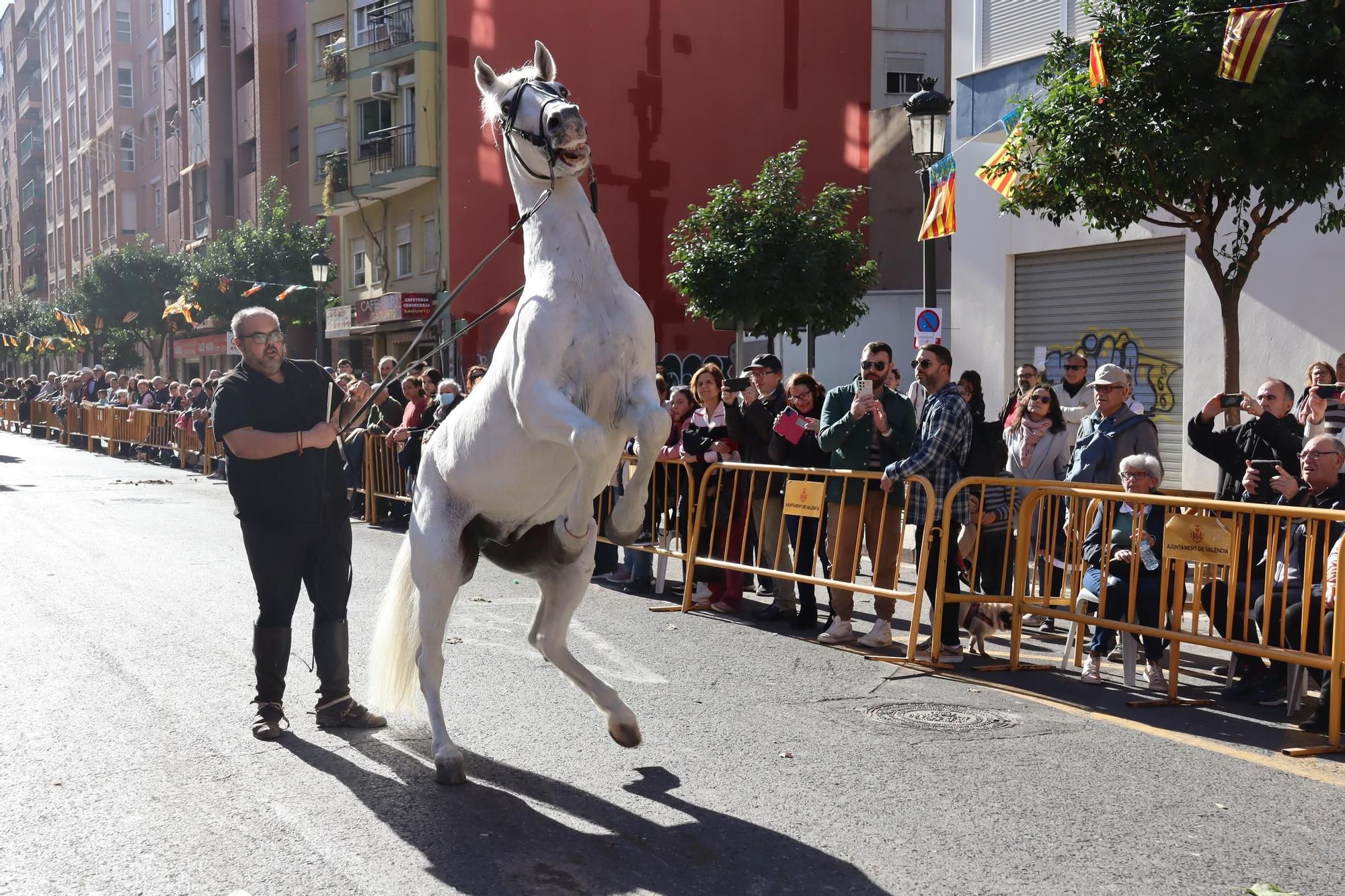 La otra cara del desfile de Sant Antoni de València