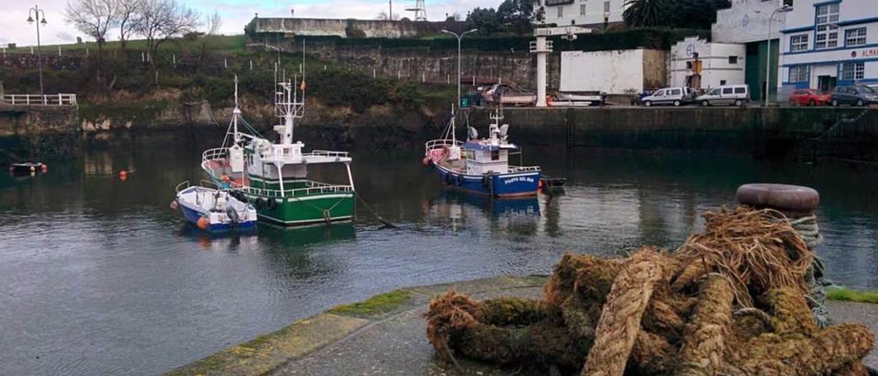 Embarcaciones de pesca amarradas ayer en la dársena de Puerto de Vega.