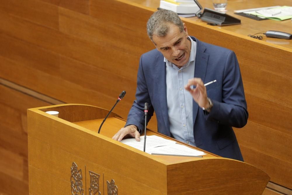 Toni Cantó durante su intervención