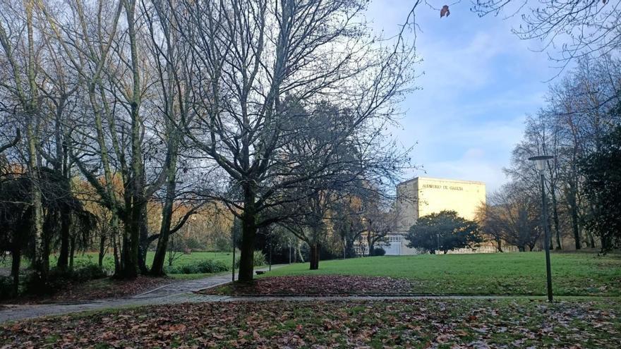 Compostela y los ánades del parque del Auditorio