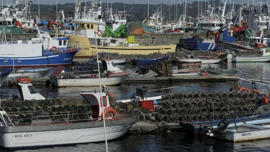 Flota pesquera amarrada en el muelle coruñés de Oza. / víctor echave