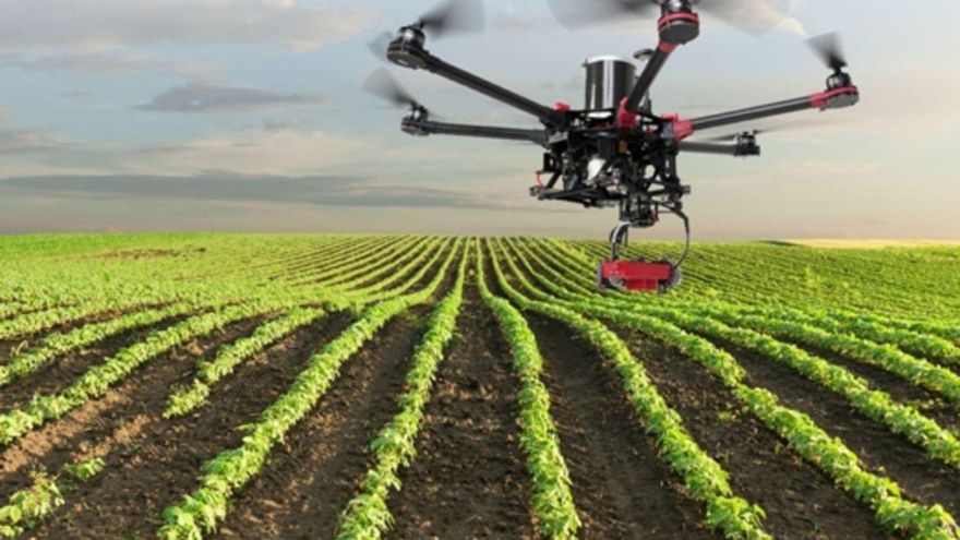 ‘Ejea Agrocuidad’ ha recibido una ayuda de 5.000 euros del programa Ciudad Laboratorio. | SERVICIO ESPECIAL