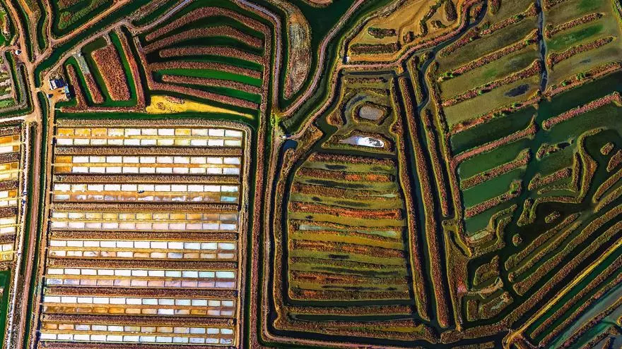 Una investigación desvela el papel de las salinas de la Bahía de Cádiz para absorber y almacenar CO2