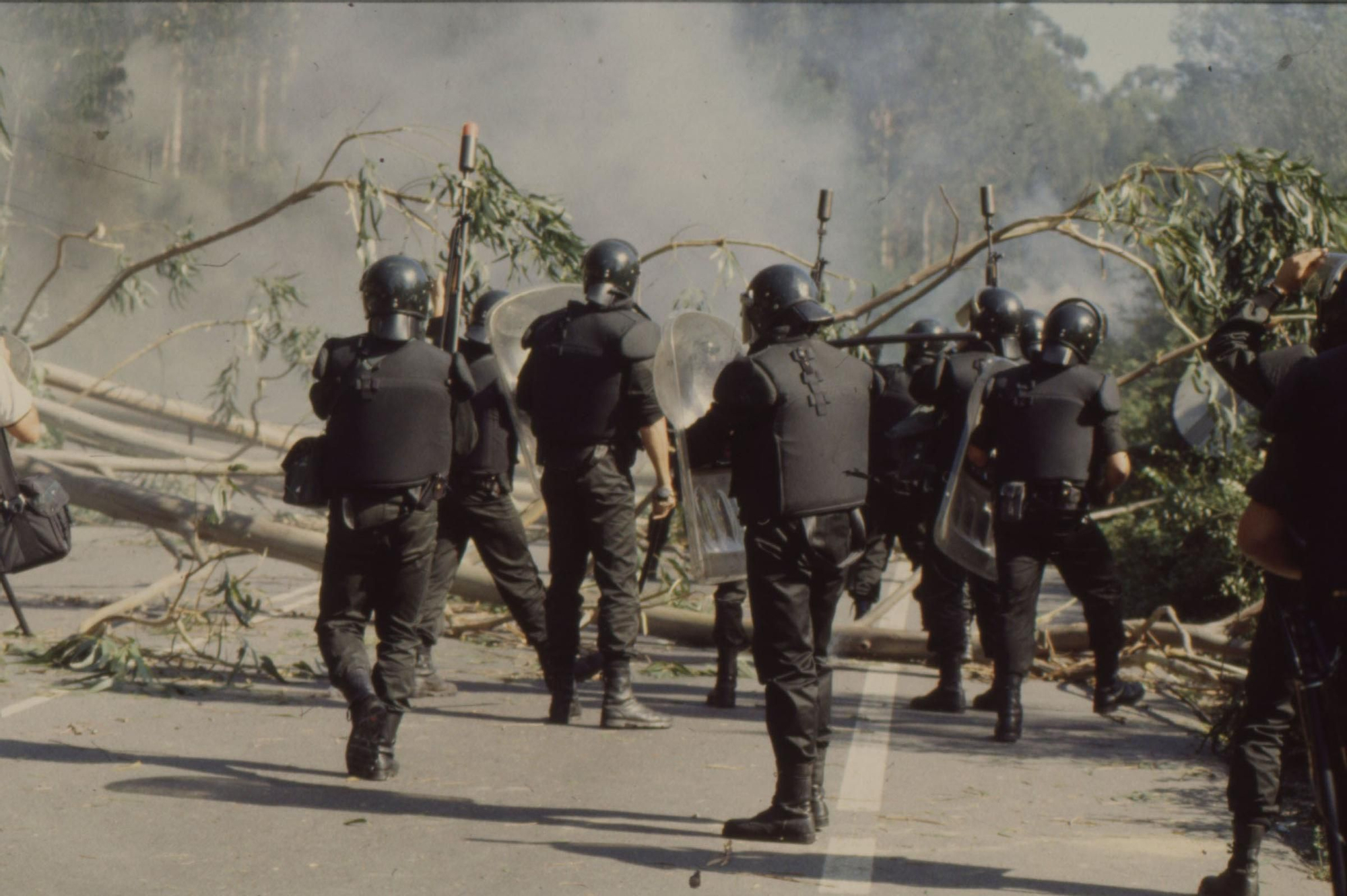 ¡A las barricadas por el banco canario-sahariano!