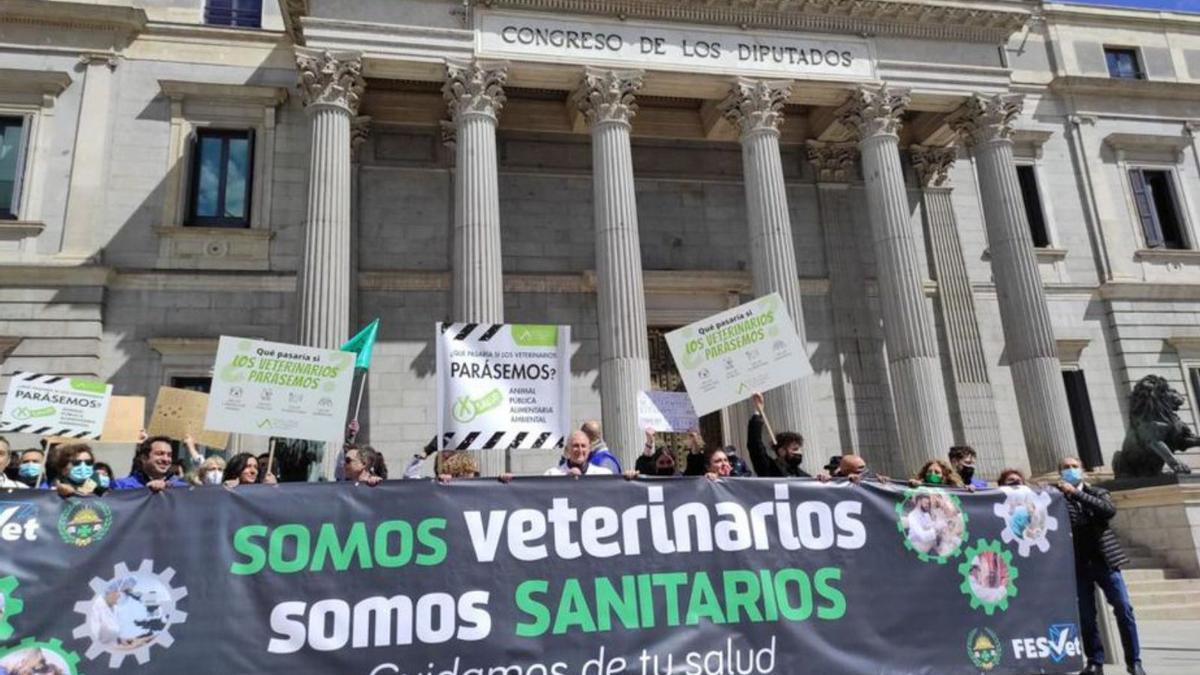 Los veterinarios reclaman el reconocimiento sanitario.