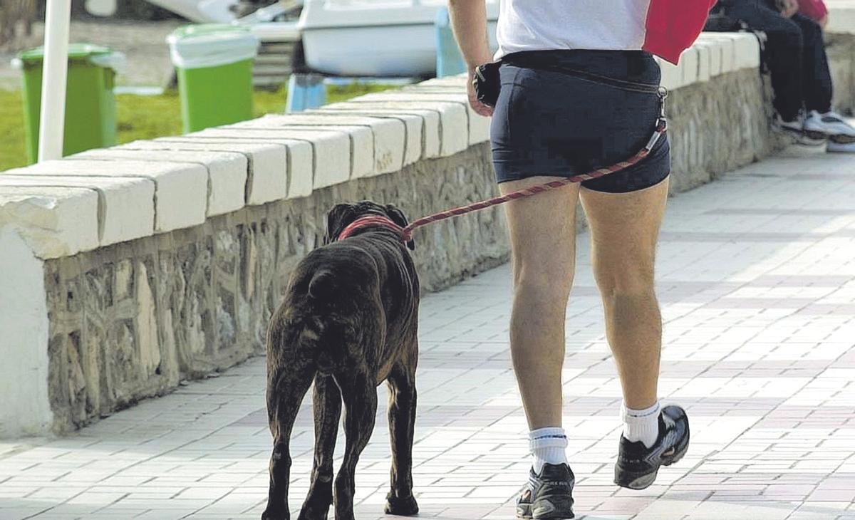 Multas de hasta 500 euros en Llanera por no recoger los excrementos de perro.