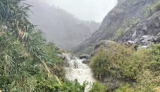 La caída de una señal por el fuerte viento genera colas kilométricas en la salida sur de la capital