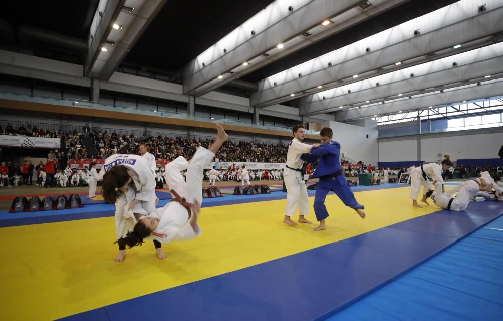 26ª edición de la Fiesta del Judo Infantil