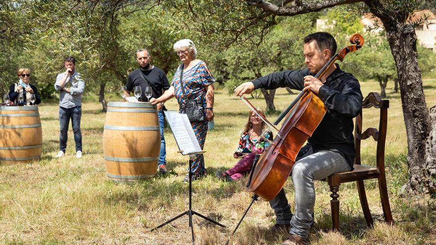 El festival Vívid 2024 ressaltarà el paper de les dones del vi de l&#039;Empordà