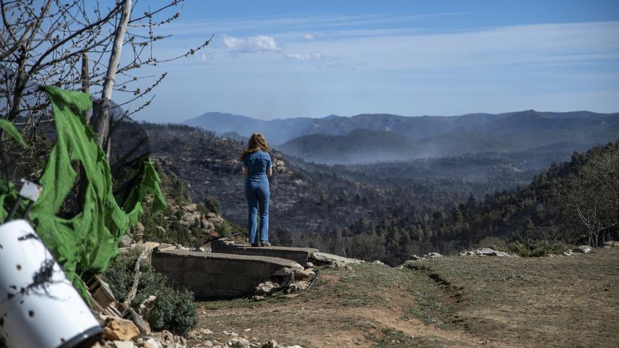 Waldbrand-Drama in Spanien: Sánchez warnt vor Klimanotstand