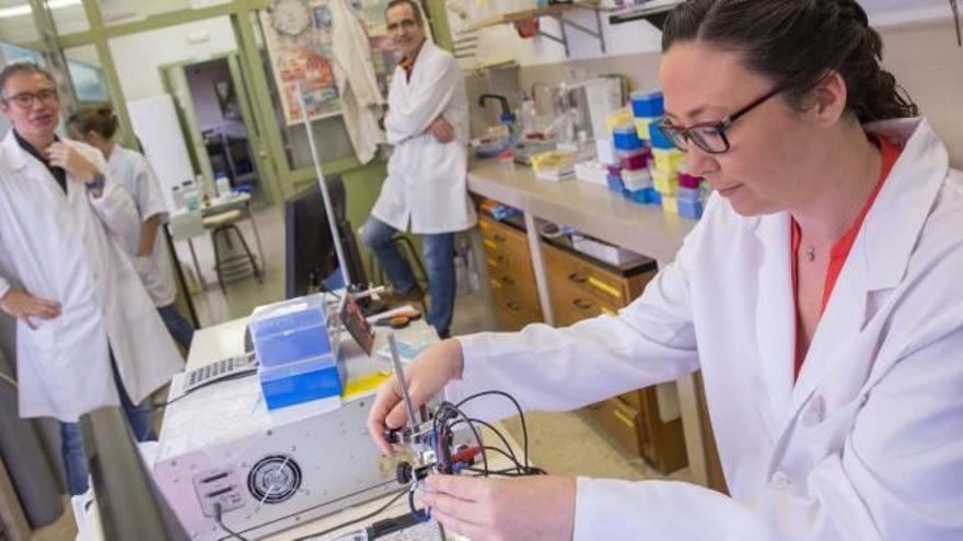 La Universidad descubre un material que agiliza y abarata las pruebas genéticas de ADN