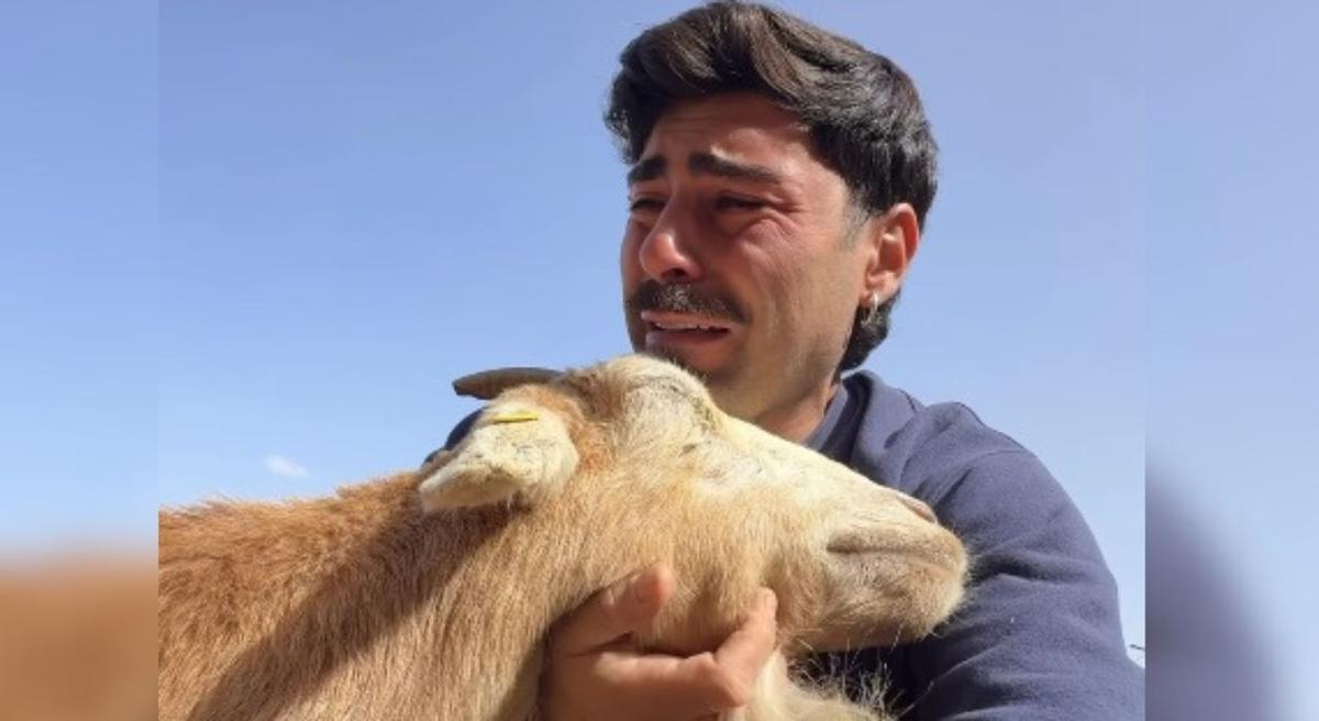 Hugo llora la muerte de su cabra Rubia