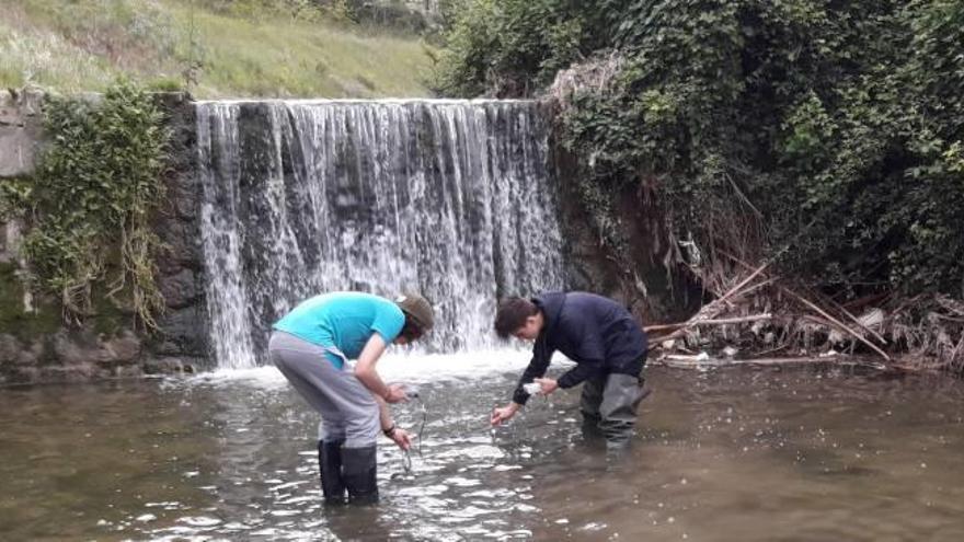 Dos estudiantes del FP de Educación y control ambiental realizan un análisis en el río Serpis.