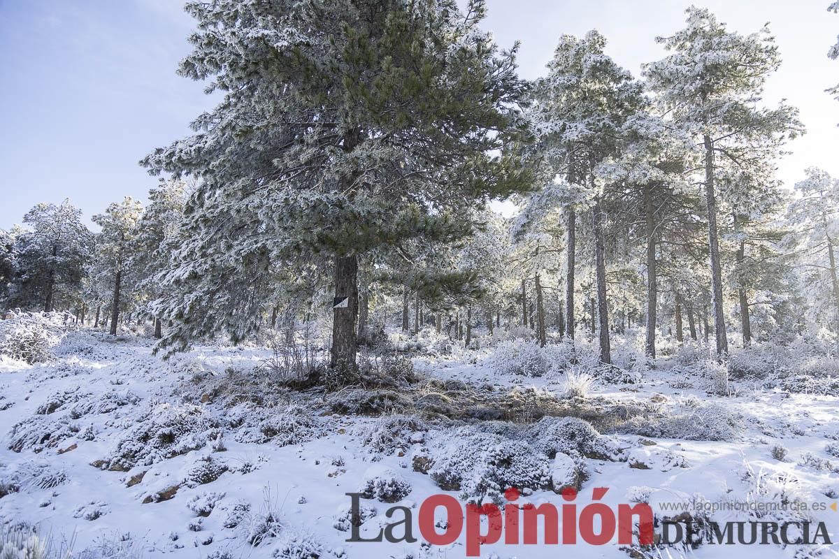 Descubre dónde queda acumulación de nieve en la Región de Murcia