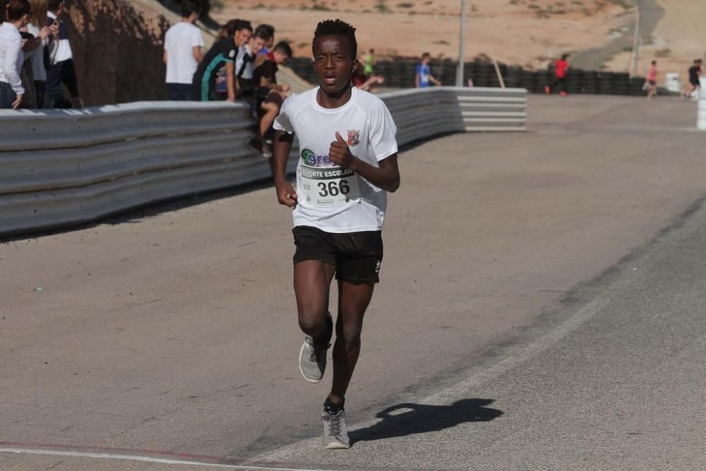 Cross Escolar Cartagena en el Circuito de Velocida