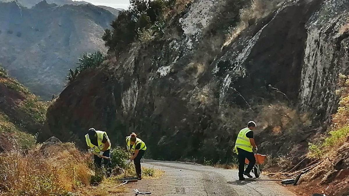 Luis Armando Ramírez (en la foto derecha) pone el valor el contenido social de los convenios que dan trabajo a casi doscientas personas; de ellas unas setenta desarrollan su labor de enero a diciembre en los senderos y caminos de Anaga. s, en el primer contacto de alguno con enseres de labranza. | el día