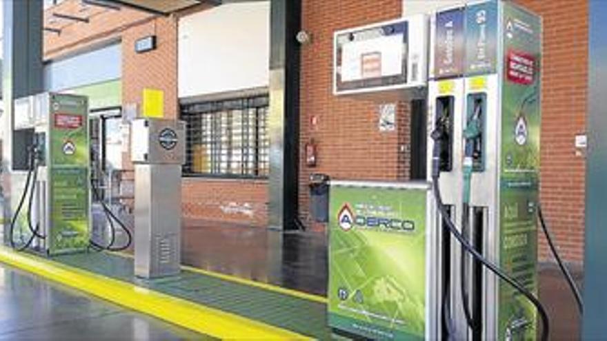 La cooperativa de Burriana diversifica su actividad y garantiza calidad en el servicio