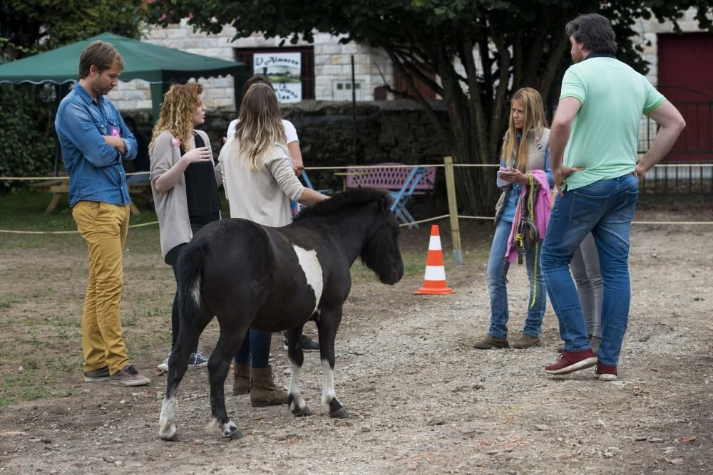 'Coaching' con caballos para empresarios