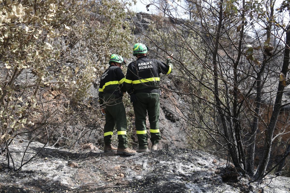 Extingit l’incendi d’Artesa de Segre després de cremar 2.700 hectàrees Extingit l’incendi d’Artesa de Segre després de cremar 2.700 hectàrees