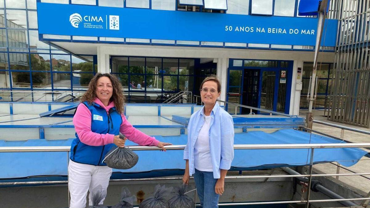 Entrega de semillas de bivalvo por parte de la Consellería do Mar.