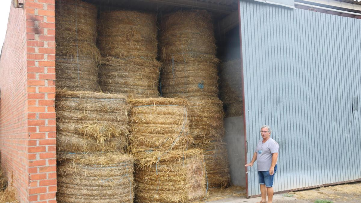 ジローナの畑には大量の飼料があるため、一部の農場では家畜の飼育数を増やすことを検討している。