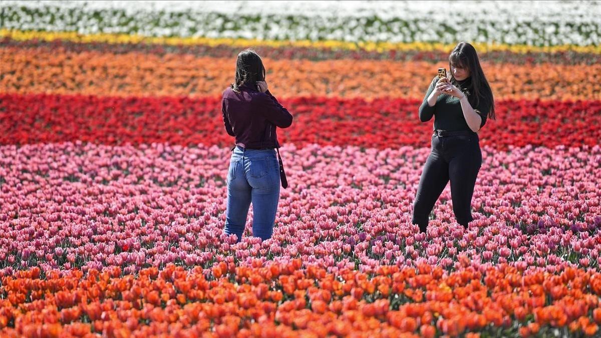 Unas chicas se retratan en un campo de tulipanes en Grevenbroich, Alemania