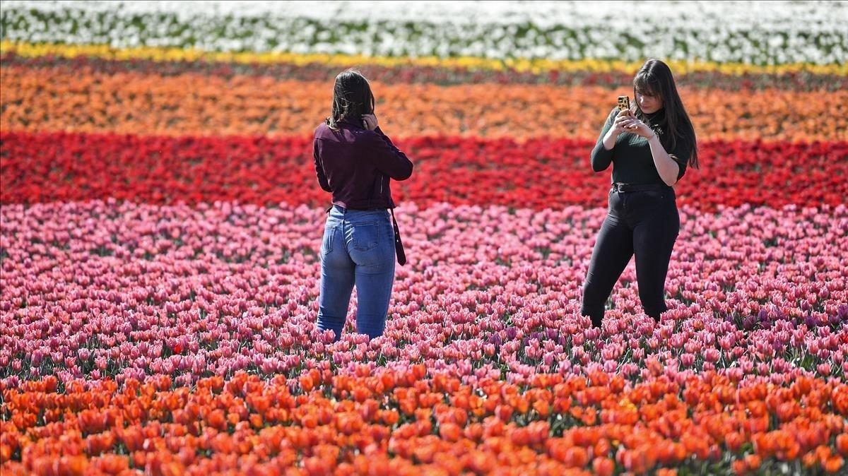 Unas chicas se retratan en un campo de tulipanes en Grevenbroich, Alemania.