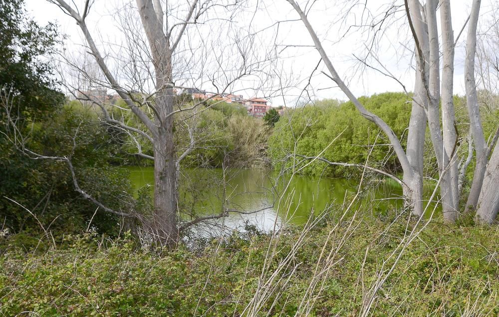 El Concello ya remitió dos cartas a la constructora Marina Atlántica para la limpieza de la parcela, pero llegan devueltas