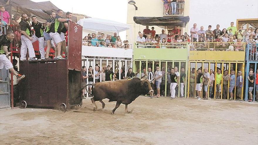 ‘Bous al carrer’ y verbenas llenan de color los festejos de les Useres