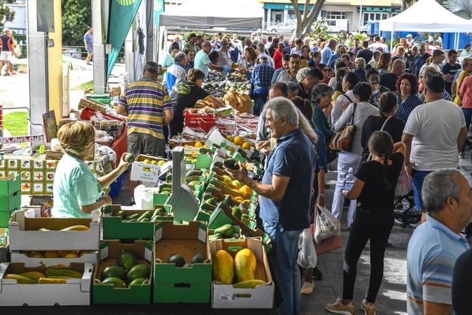 III FERIA DEL AGUACATE