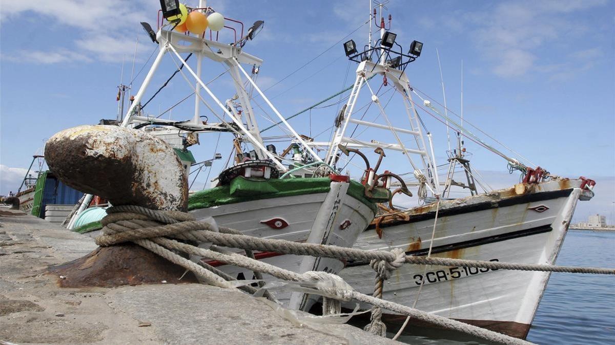 Pesqueros en el puerto de Barbate (Cádiz) que faenan en aguas de Marruecos